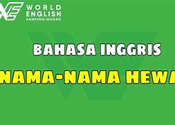 Apa Arti Nama Nayla Dalam Bahasa Inggris